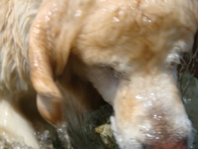 e0158841_10534928.jpg
