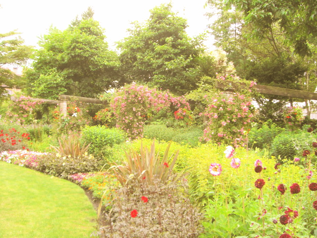 f0200342_1352017.jpg