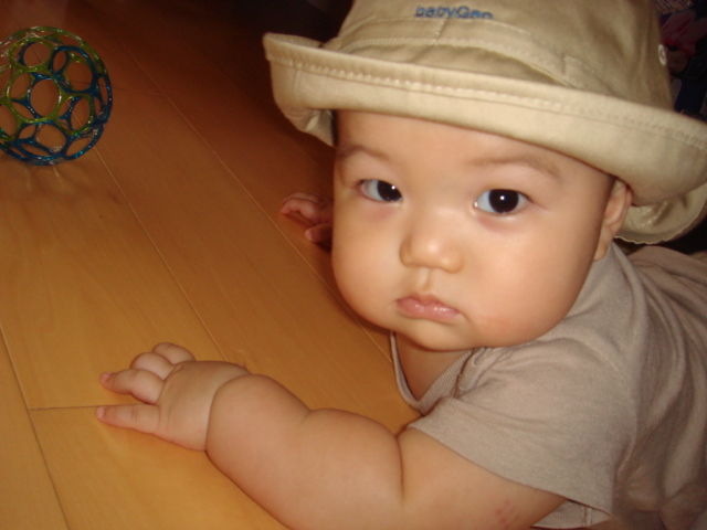 a0139043_1404163.jpg