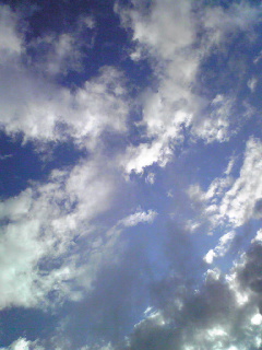 f0175043_1053118.jpg