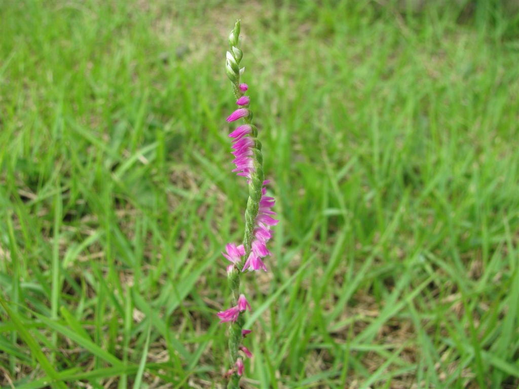 f0151044_6101148.jpg