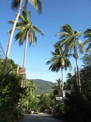 e0027447_19265343.jpg