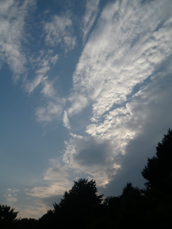 f0192348_16522027.jpg