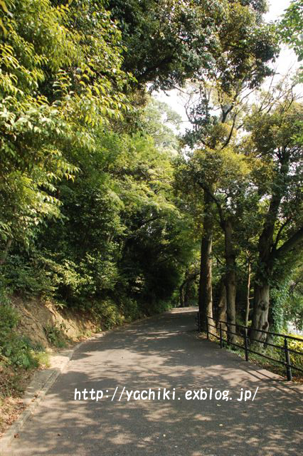 b0153451_1332864.jpg