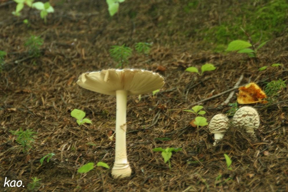 b0164651_22572778.jpg