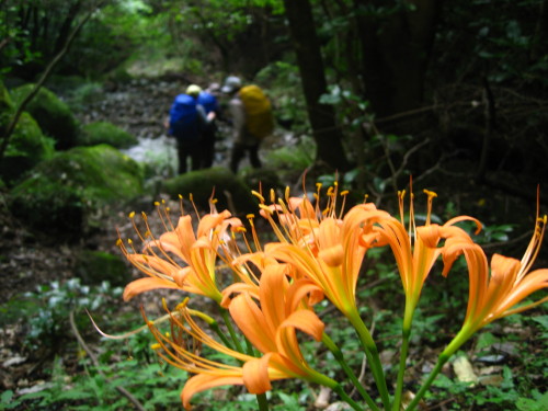 c0179351_20122359.jpg