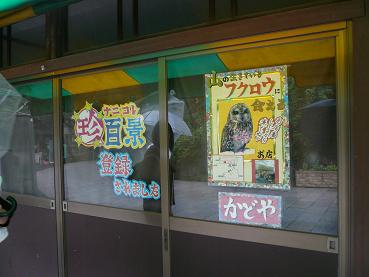 a0053558_944236.jpg