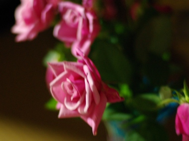 d0074259_2343732.jpg