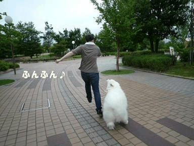 e0176159_1612228.gif