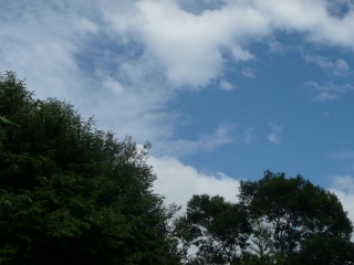 f0055264_22202823.jpg