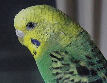f0196665_23474180.jpg