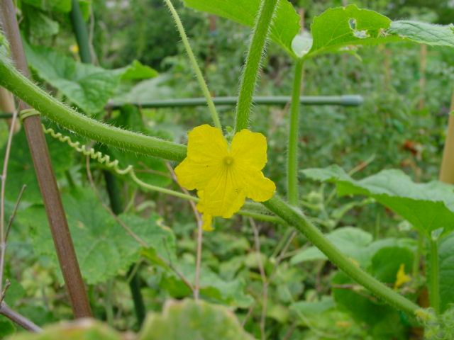 a0134767_16542257.jpg