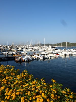 c0102268_3252268.jpg