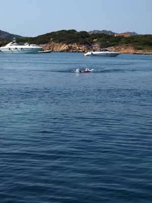 c0102268_331929.jpg
