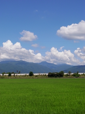 c0166668_2310315.jpg