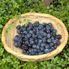 f0016868_2116636.jpg