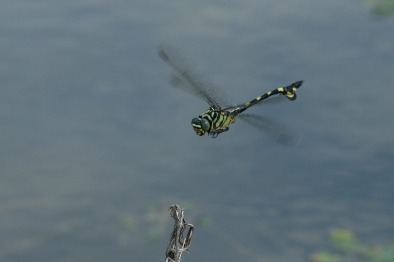 b0088772_21174276.jpg