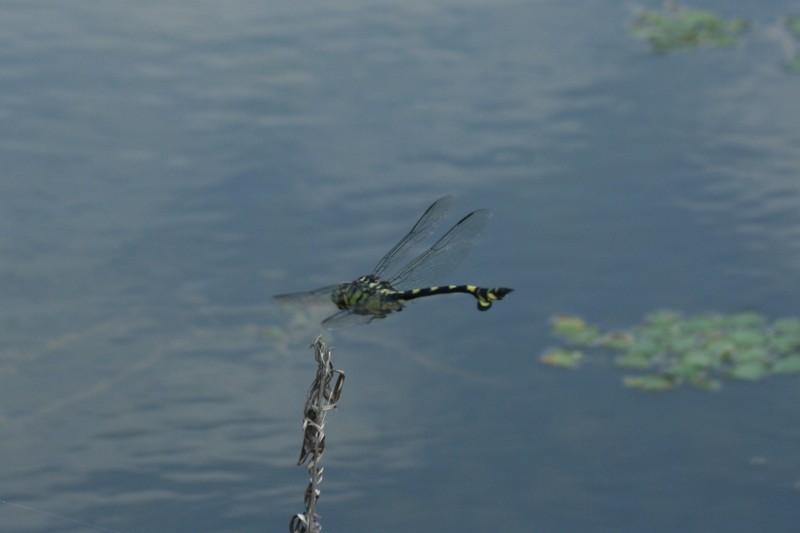 b0088772_21181860.jpg