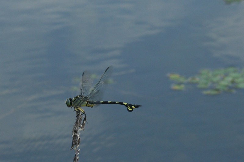 b0088772_2119273.jpg