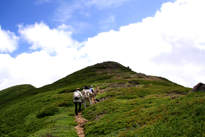 d0126577_10513160.jpg