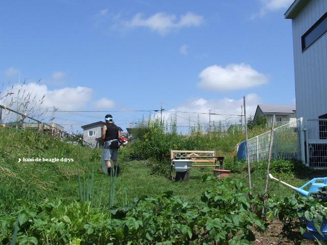 f0150377_11292662.jpg