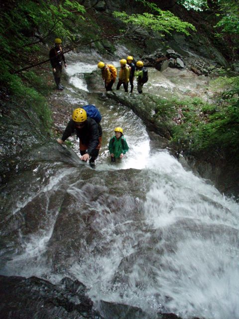 d0079579_529114.jpg