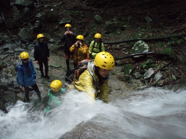 d0079579_529144.jpg
