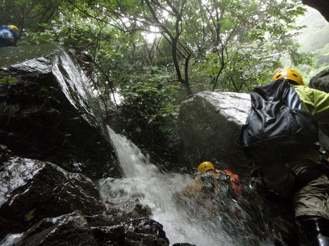 d0079579_5292121.jpg