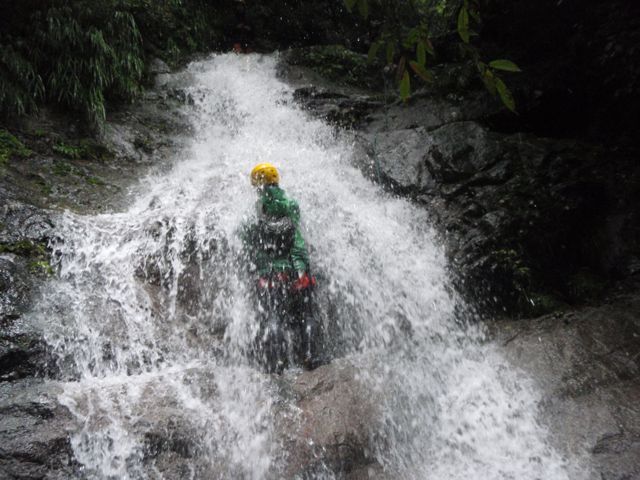 d0079579_5294096.jpg