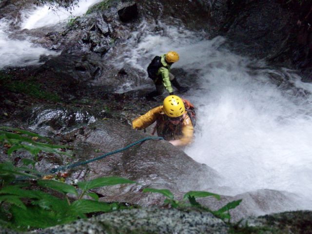 d0079579_5295550.jpg