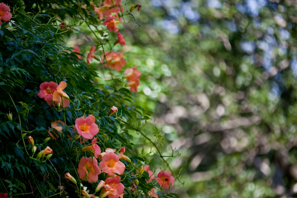 a0083081_16591047.jpg