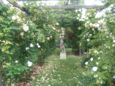 d0099791_12105183.jpg