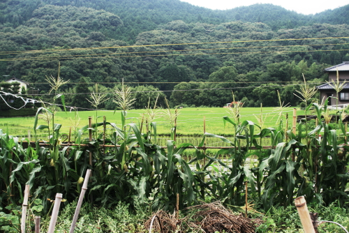 f0093592_1013935.jpg