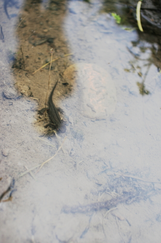 f0093592_114364.jpg