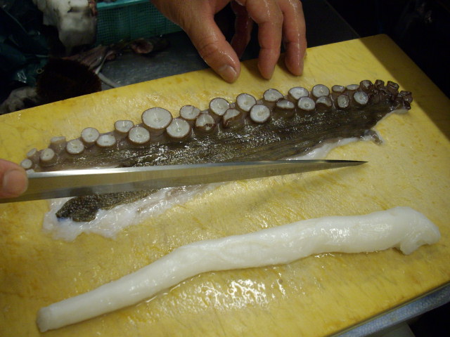 f0084695_19503677.jpg