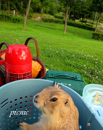 c0173697_0395157.gif