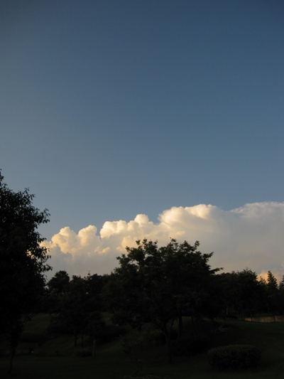 c0173697_050115.jpg