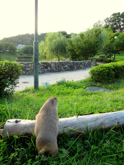 c0173697_0515431.jpg