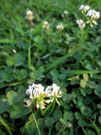 c0173697_0541589.jpg
