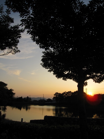c0173697_124815.jpg