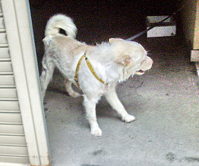 c0138198_15155272.jpg