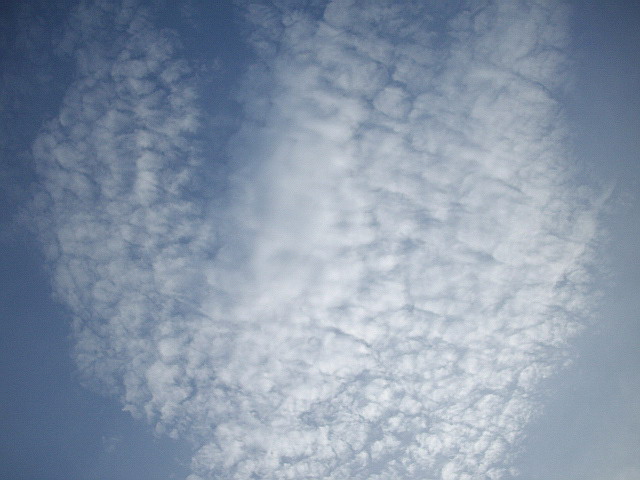c0138198_1529541.jpg