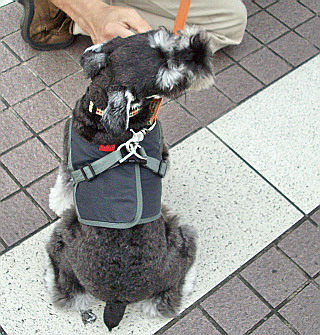 c0138198_153916100.jpg