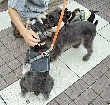 c0138198_15414827.jpg