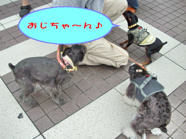 c0138198_15431281.jpg