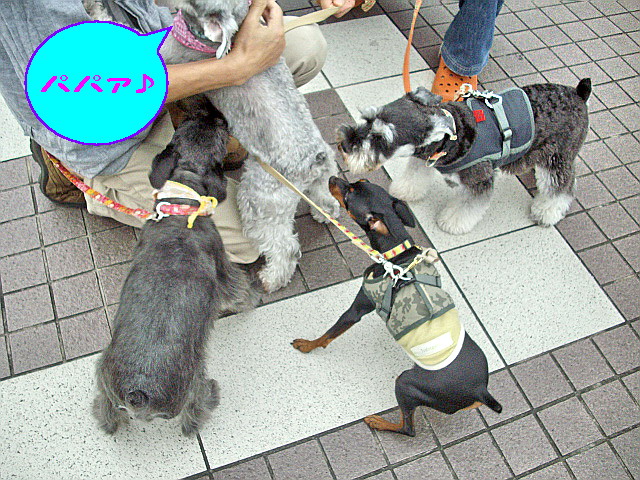 c0138198_15443460.jpg