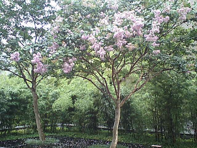 d0054704_1342556.jpg