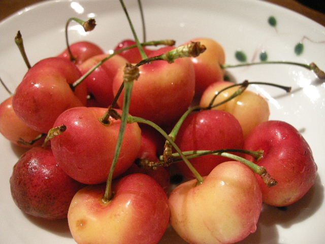 a0091907_7581893.jpg