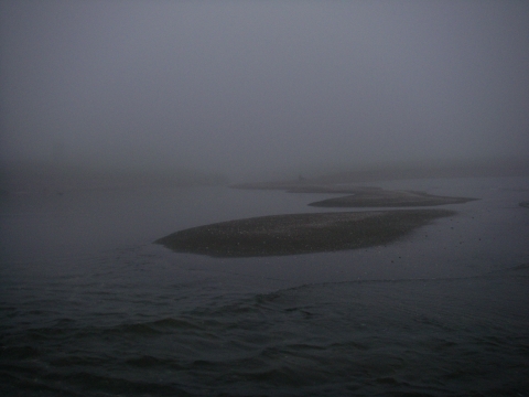 d0051707_198143.jpg