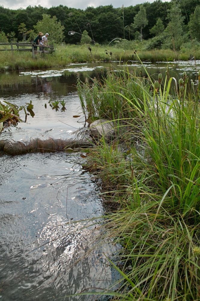 b0137311_21403189.jpg